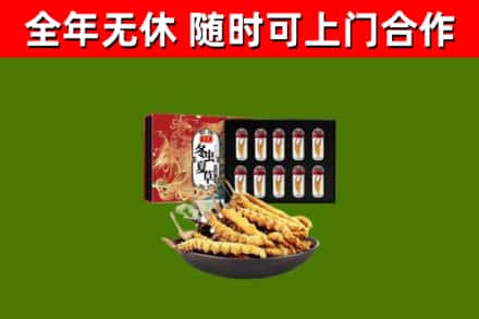 江北回收冬虫夏草价格